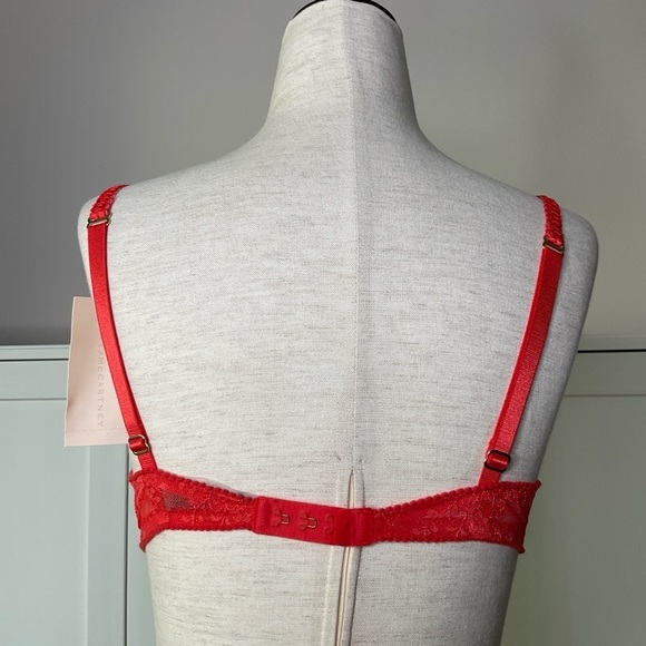 NWT Stella McCartney Gwyneth Gazing Lace See Through Under Wired Bras Size 36C - Picture 6 of 11